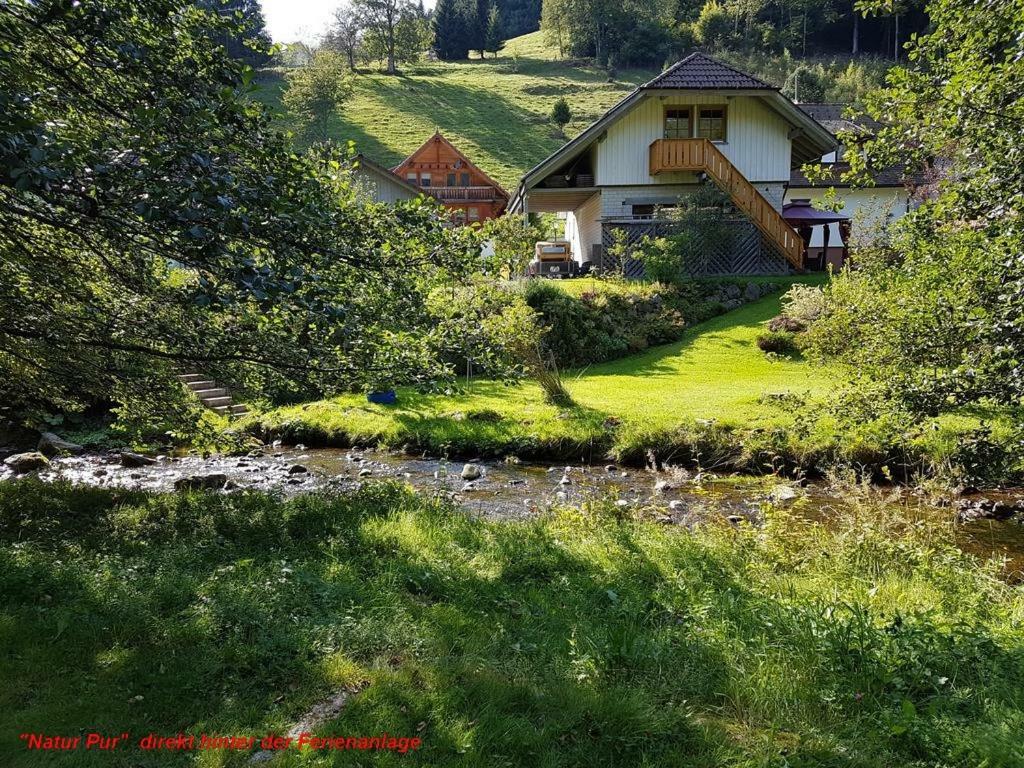 Ferienwohnung Schwarz Todtmoos Exterior foto